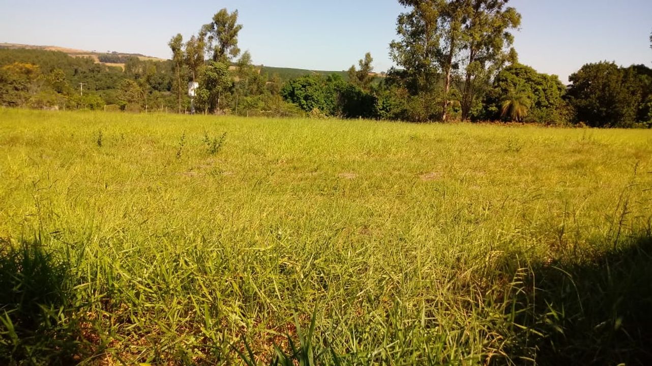 Foto - Marília - Centro